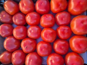 В Оренбуржье пытались ввезти 18 тонн зараженных томатов из Туркмении