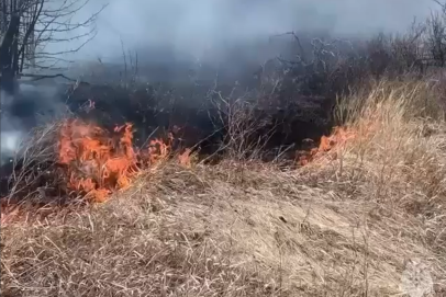 Горела трава. Первый ландшафтный пожар произошел в этом году в Оренбуржье