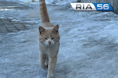 Весне дорогу. Днем, 20 марта, в Оренбуржье снова ждём туман и до +10 градусов