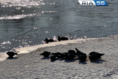 Весна пришла, астрономическая. 20 марта — день весеннего равноденствия