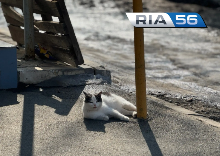 Весна разогналась — лето уже в марте: В выходные в Оренбуржье обещают +22 градуса