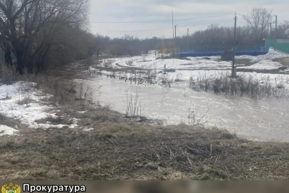 Упал в реку Елшанку. 6-летнего ребенка ищут в Октябрьском районе