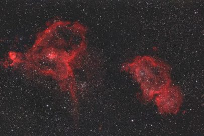 Цветы, которые не завянут: космический букет к 8 Марта