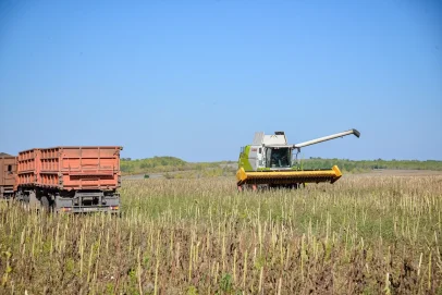 В Оренбуржье утвердили порядок предоставления грантов на развитие фермерских хозяйств