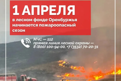 Смотри не кури. В Оренбуржье с 1 апреля действует пожароопасный сезон