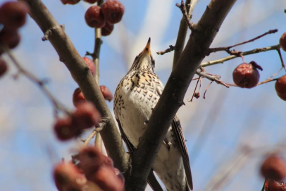 Когда переборщил с «витаминами» и осознал, что завтра на работу