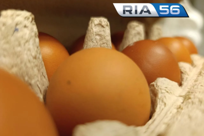 Скоро Пасха: Оренбуржцам напомнили, сколько яиц можно есть без вреда для здоровья