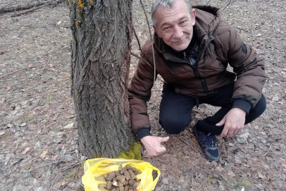Первые грибные трофеи: в Саракташском районе открыт сезон «тихой охоты»