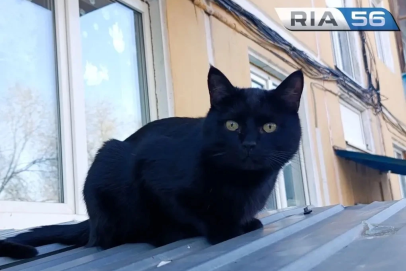 Холод и солнце. Днем, 17 апреля, в Оренбуржье ожидается до +17 градусов