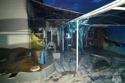 Два человека погибли и 17 спасены на пожарах в дачных поселках под Оренбургом