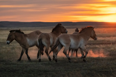 В Оренбуржье с 1 мая стартует национальный туристский маршрут «Горизонты открытий»