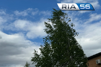 В Самаре упавшие деревья убили уже двух человек