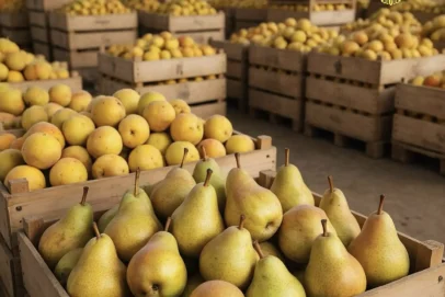 В Оренбуржье пресекли попытку продажи санкционных фруктов через Интернет