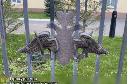 В Оренбурге 18-летний парень пойдет под суд за «охоту» на двуглавых орлов