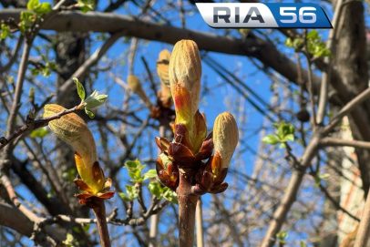 От минуса к плюсу: В Оренбуржье в эти выходные ожидается до 18 градусов тепла