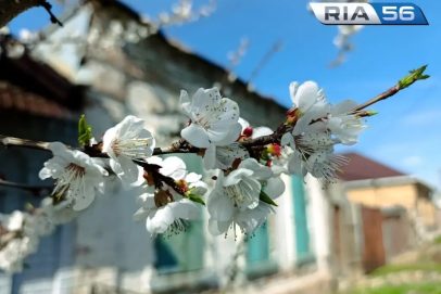 В Оренбуржье объявлен отбой опасности БПЛА