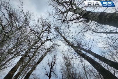 Погреться не успели. В Оренбуржье в ночь на 15 апреля ожидается ветер и всего до +7°