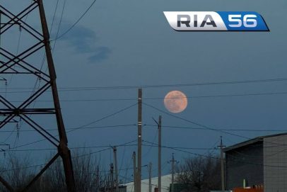 Цветение дикого флокса. Над Оренбуржьем взошла «розовая Луна» — спешите увидеть