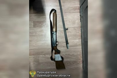 В Бузулукском районе трое мужчин пойдут под суд за отстрел шести косуль