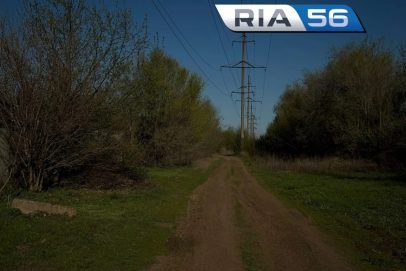 «Не ходите в лес»: с 15 июня в Оренбуржье действует запрет на сбор ягод и грибов