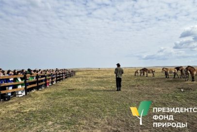 Дикие лошади и бескрайняя степь: в Оренбуржье с 1 мая стартует туристический сезон