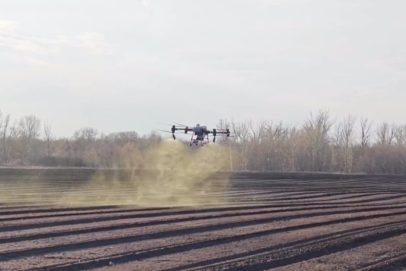 Точечно и эффективно. Тюльпаны в Оренбуржье от болезней защищают дроны