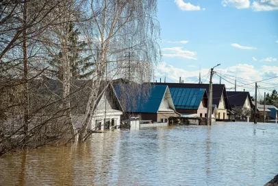 Это не мыши. Суд назвал ответственного за ущерб из-за прорыва дамбы в Орске