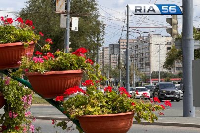 Погреемся на солнышке: в Оренбургской области ожидается тридцатиградусная жара
