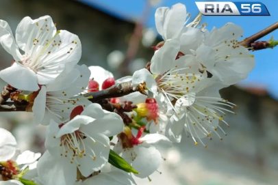 Лето уже здесь: когда в Оренбурге закончилась метеорологическая весна