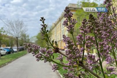 В Оренбургской области объявили отбой опасности атаки беспилотных аппаратов