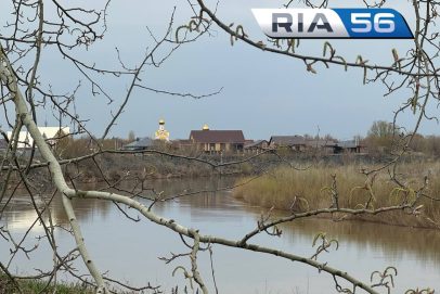 Прикройте рассаду: оренбуржцев предупреждают о заморозках до -4 градусов