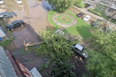 Поваленные деревья в Оренбурге повредили автомобили и забор