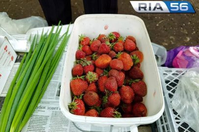 Настоящая оренбургская: на улицах города появилась своя первая клубника с огородов