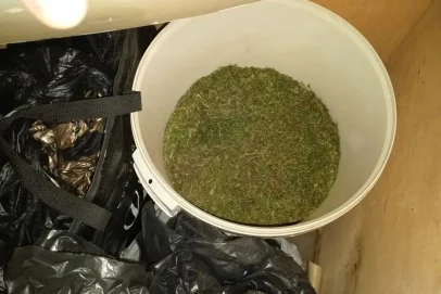 У жителя Бугурусланского района изъята крупная партия наркотиков