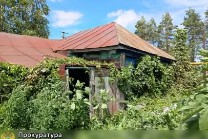 30 ударов: 69‑летняя жительница Тюльганского района убила знакомую из‑за макарон