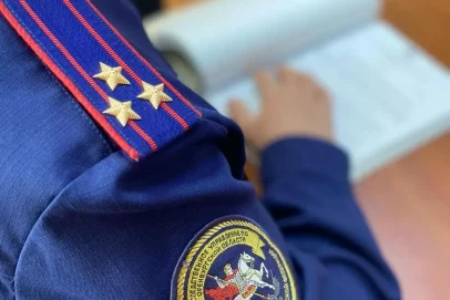Смертельный удар: в Матвеевском районе тракториста убило током от ЛЭП
