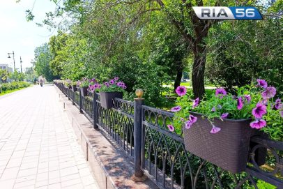 В Оренбурге высаживают тысячи цветов, но вандалы уже портят красоту