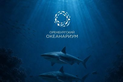 Осталась неделя: Стала известна дата открытия океанариума в Оренбурге