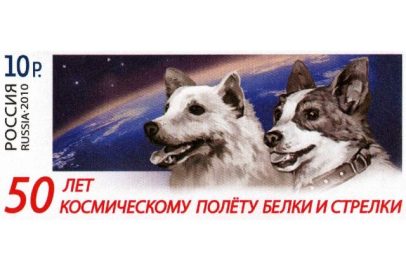 Легендарный полёт Белки и Стрелки: как 66 лет назад собаки проложили дорогу в космос
