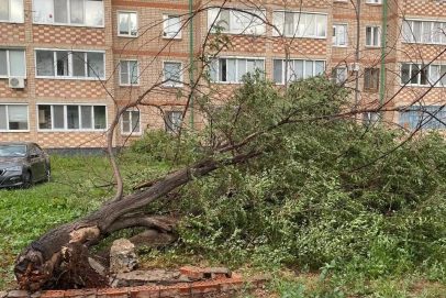 Последствия урагана в Бузулуке: ветер рвал провода, сносил крыши и валил деревья