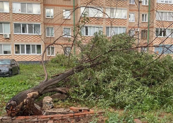 Последствия урагана в Бузулуке: ветер рвал провода, сносил крыши и валил деревья
