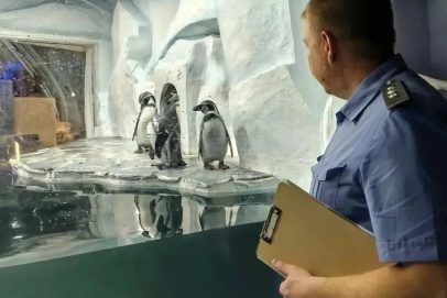 В Оренбурге скоро открывается океанариум, Россельхознадзор выдал лицензию