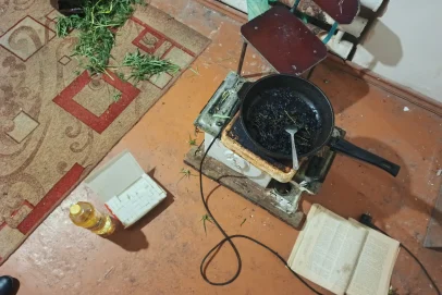 В Адамовском районе полиция обнаружила у местного жителя марихуану и гашишное масло