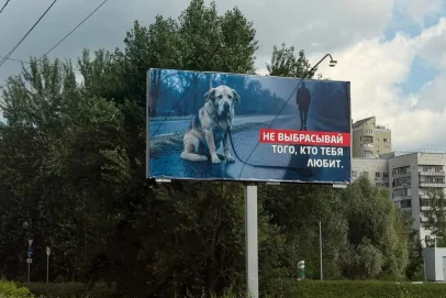Не выбрасывай того, кто тебя любит: в Оренбурге появились цепляющие сердце баннеры