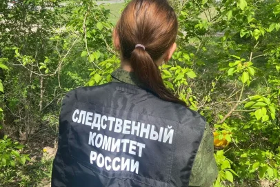 Смертельный разряд: в Бузулукском районе завели дело после гибели электромонтёра