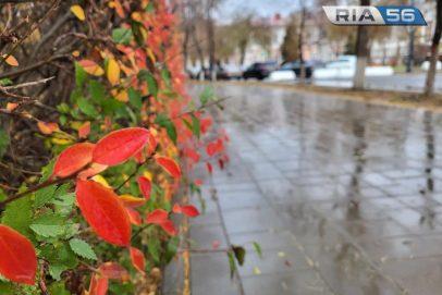 Ждем мокрый снег: как изменится погода в Оренбуржье к началу октября