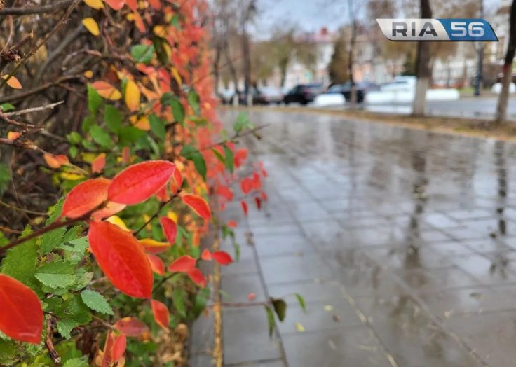 Ждем мокрый снег: как изменится погода в Оренбуржье к началу октября