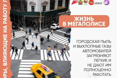 Астма и пищевая аллергия: врачи провели невидимую связь и пути профилактики