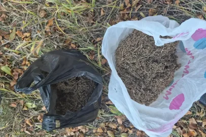Более килограмма марихуаны: в Переволоцком районе задержали троих мужчин