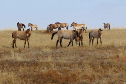 До 18 октября продлили туристический сезон в Оренбургском заповеднике